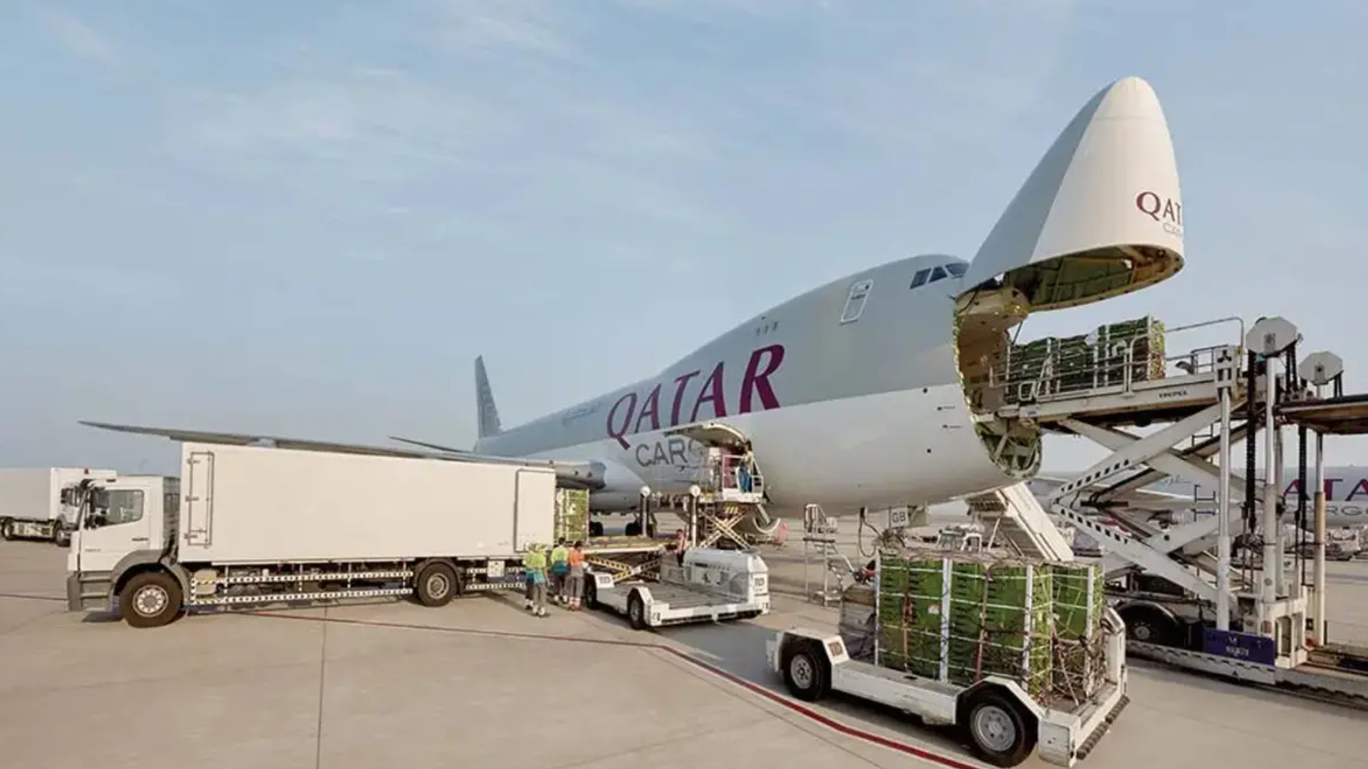 Ocean Freight